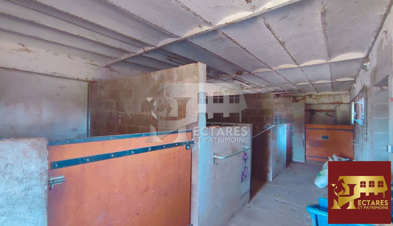 Propriété équestre 14 hectares