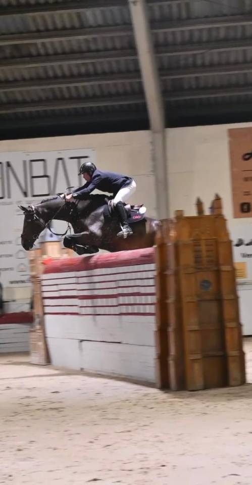 Forgerie a jamais cheval 10 ans 