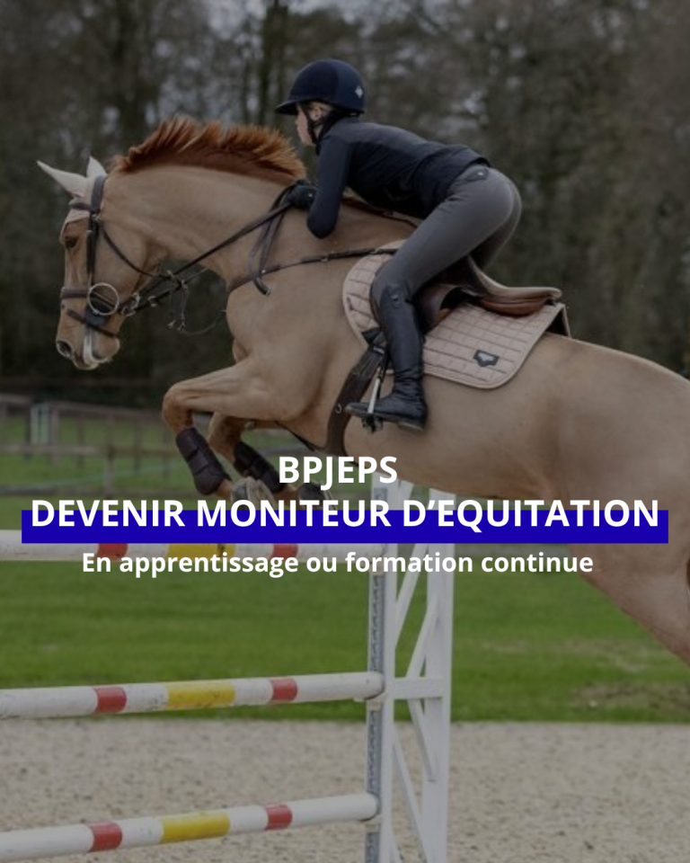 Devenir Moniteur d'&eacute;quitation - BPJEPS