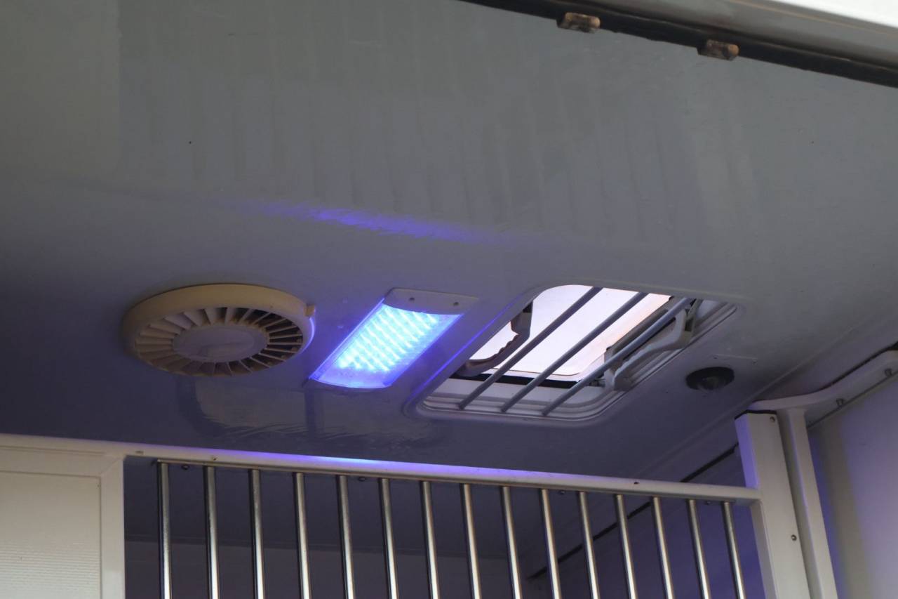 VL MASTER MTM FILOVAN STALLE 5P / VENDU