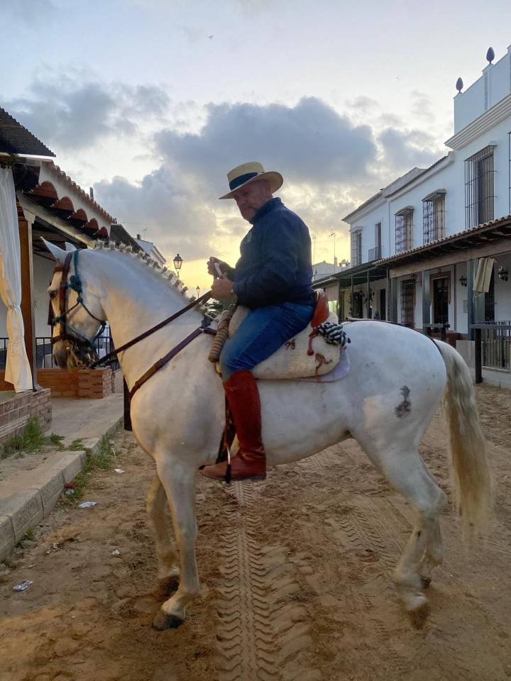 CHEVAL PURE RACE ESPAGNOLE