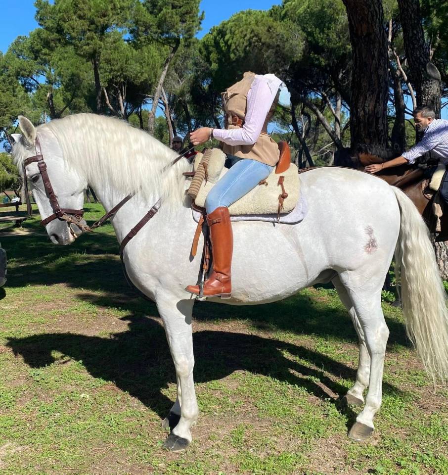 CHEVAL PURE RACE ESPAGNOLE