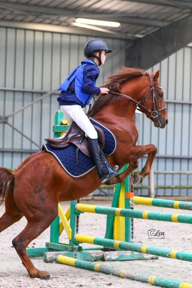 Poney d de sport 