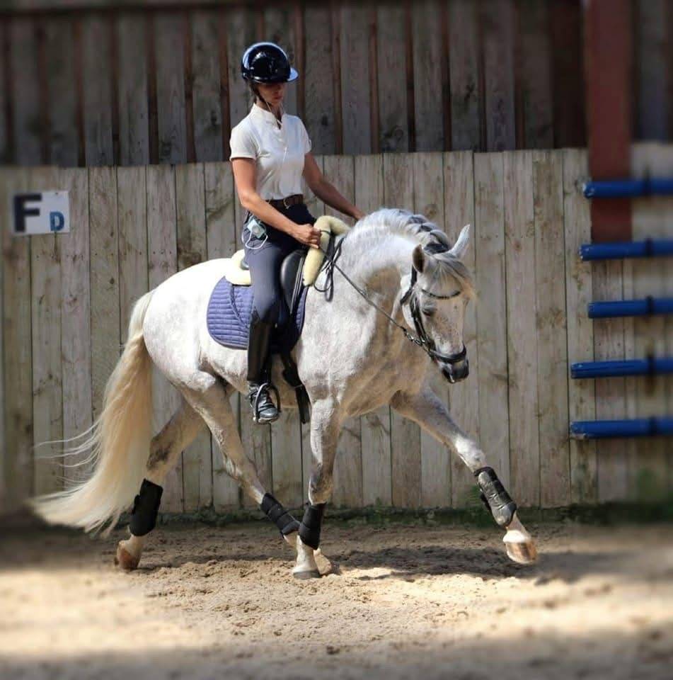 Pure race espagnol plein papier Sport 