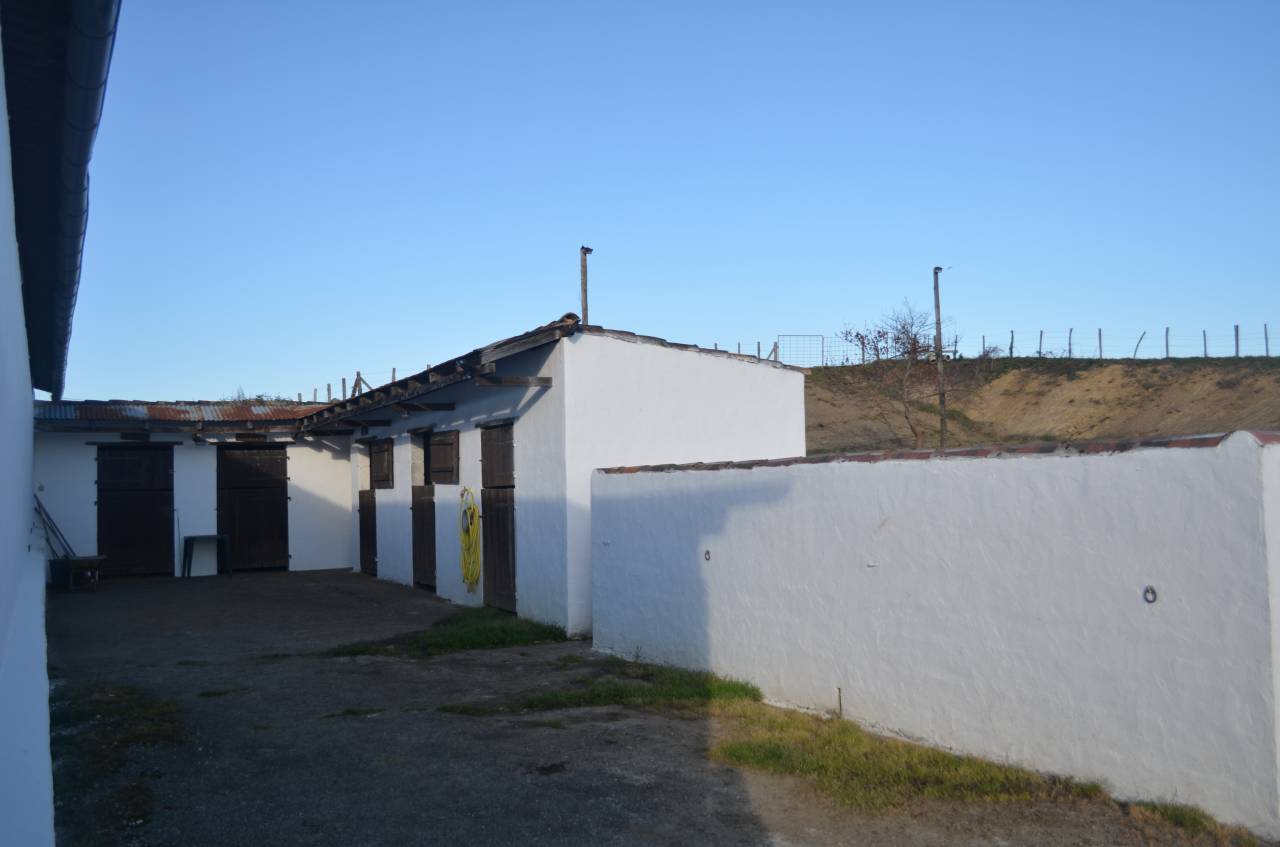 Pension Chevaux La Bastide Clairence