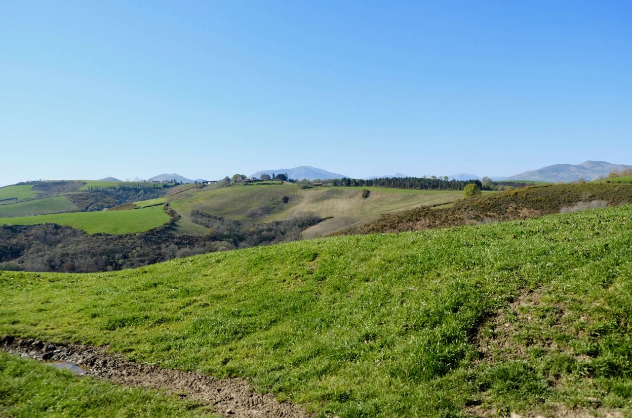Pension Chevaux La Bastide Clairence