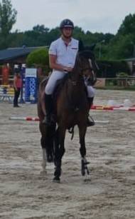 Jument Selle Fran&ccedil;ais de 10 ans  