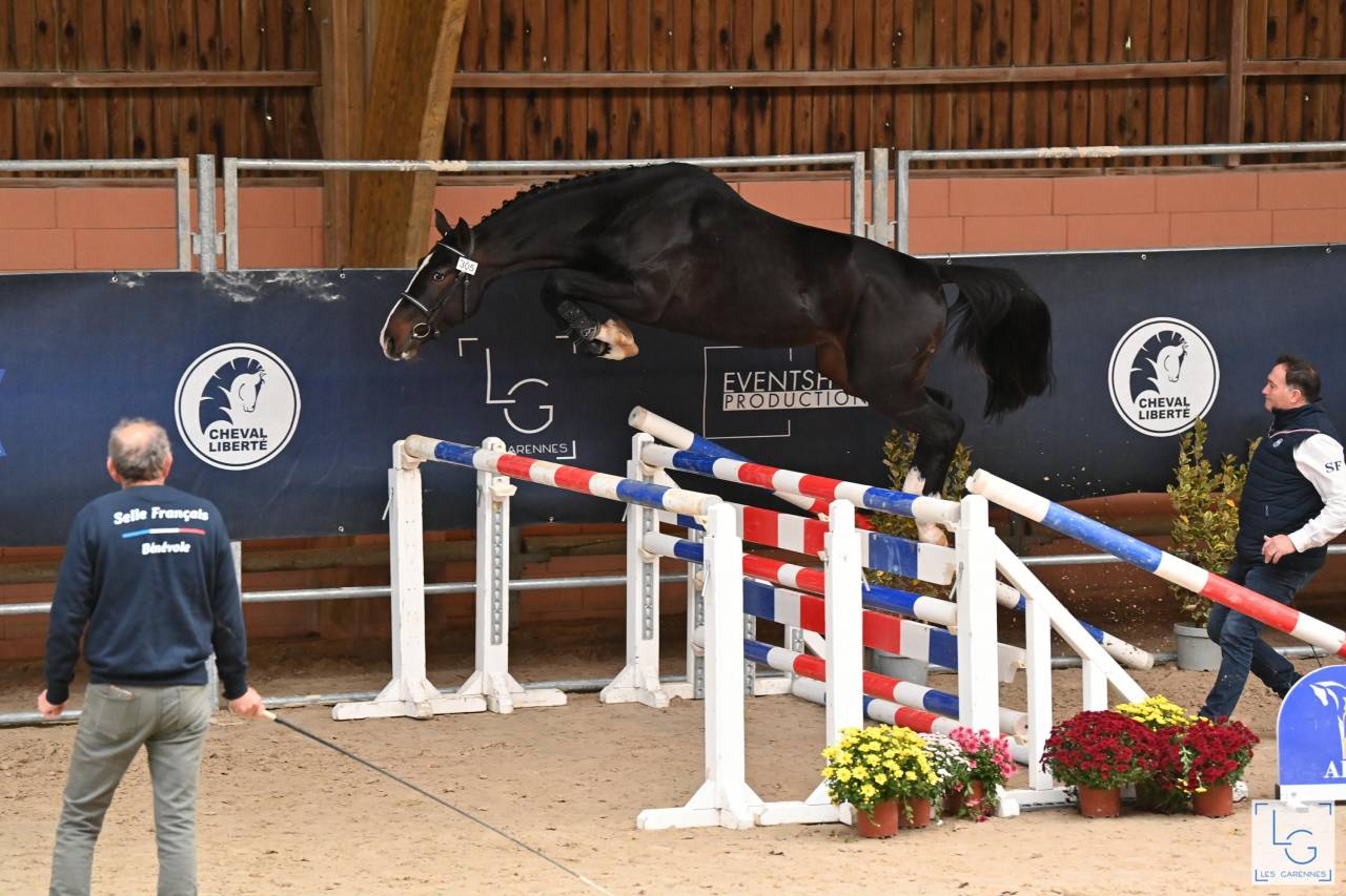 MURDOCK DE L'OZANCE SF