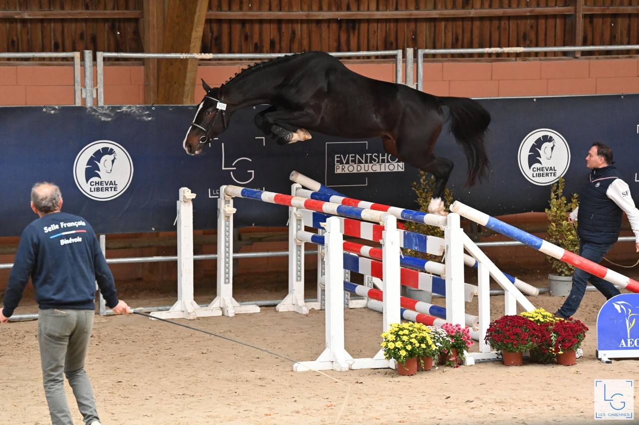 MURDOCK DE L'OZANCE SF