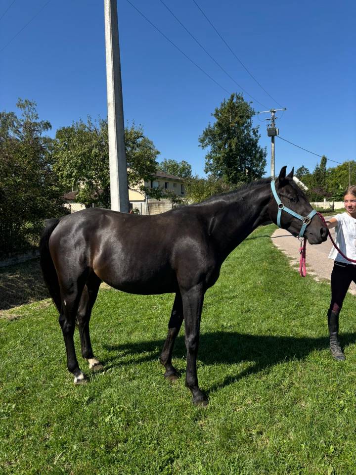 P&eacute;pite jeune ponette pfs !!!