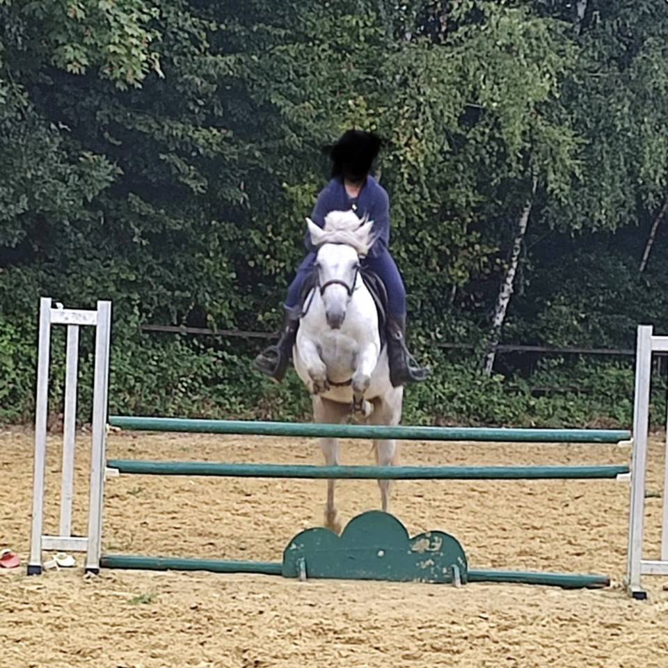 Ponette D Connemara PP 5 ans 