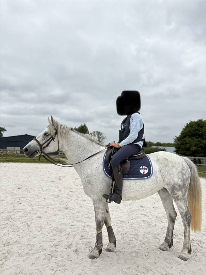Ponette D Connemara PP 5 ans 