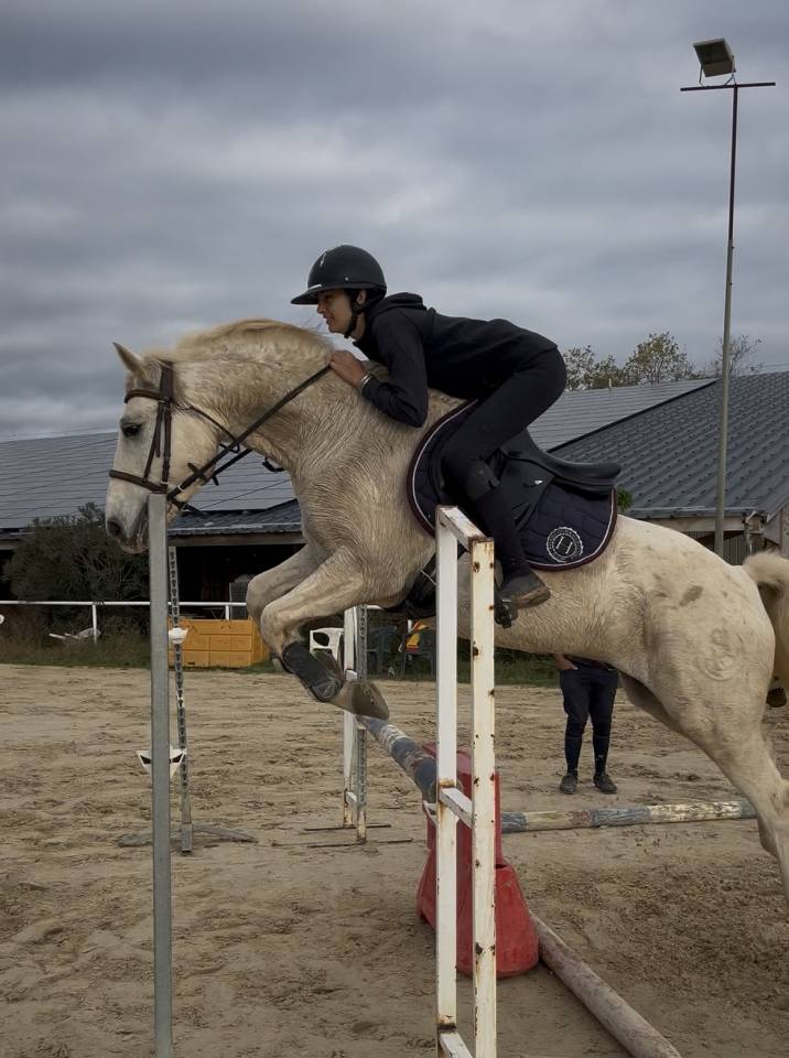 Poney pleins papiers 8 ans