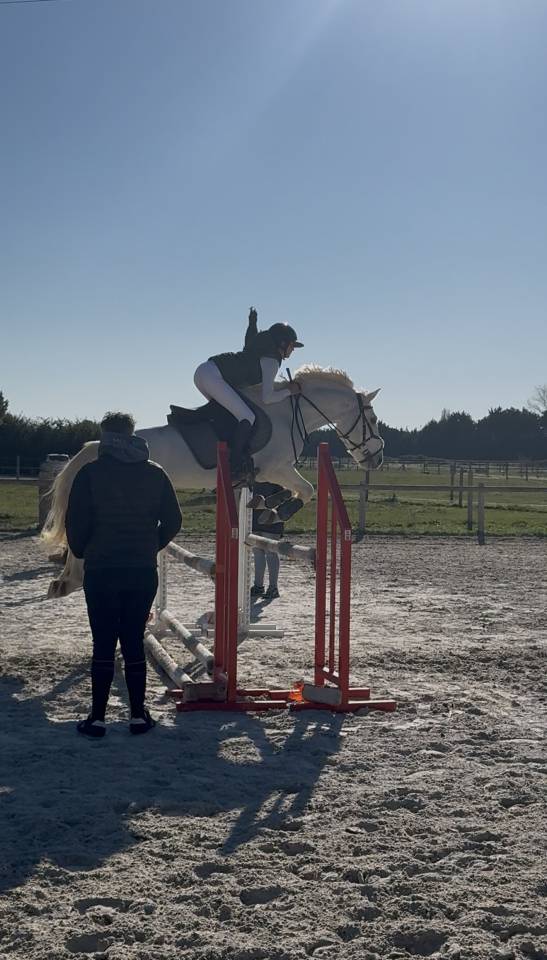 Poney pleins papiers 8 ans