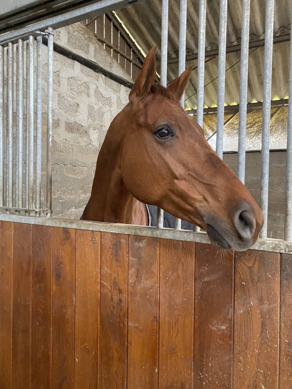 Happy du Banney 8 ans 