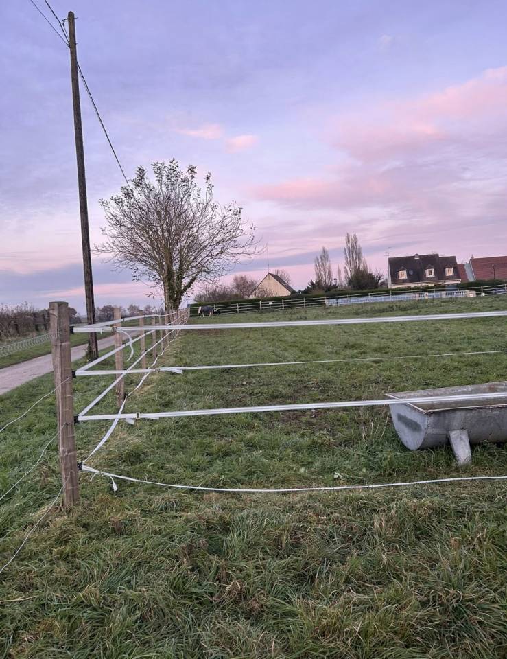 Pension de chevaux au pr&eacute;