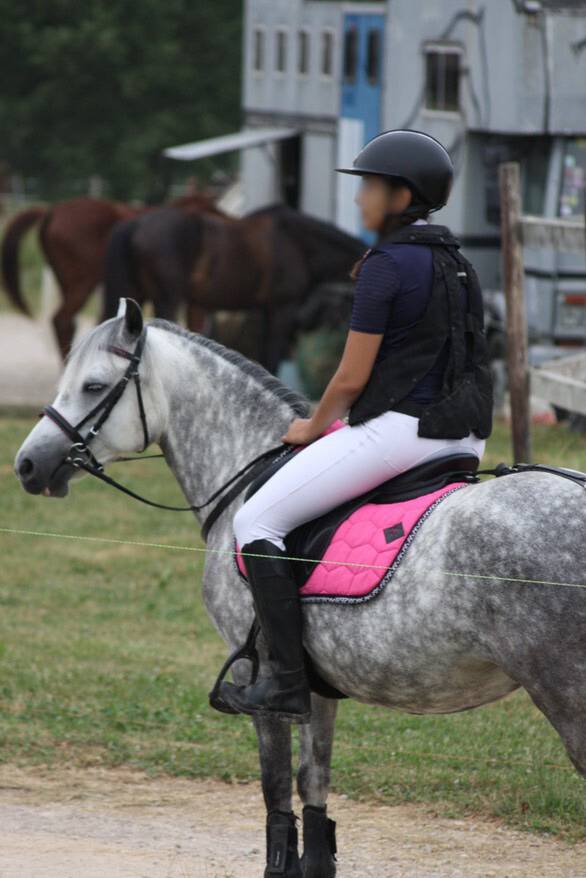 Poney &agrave; louer