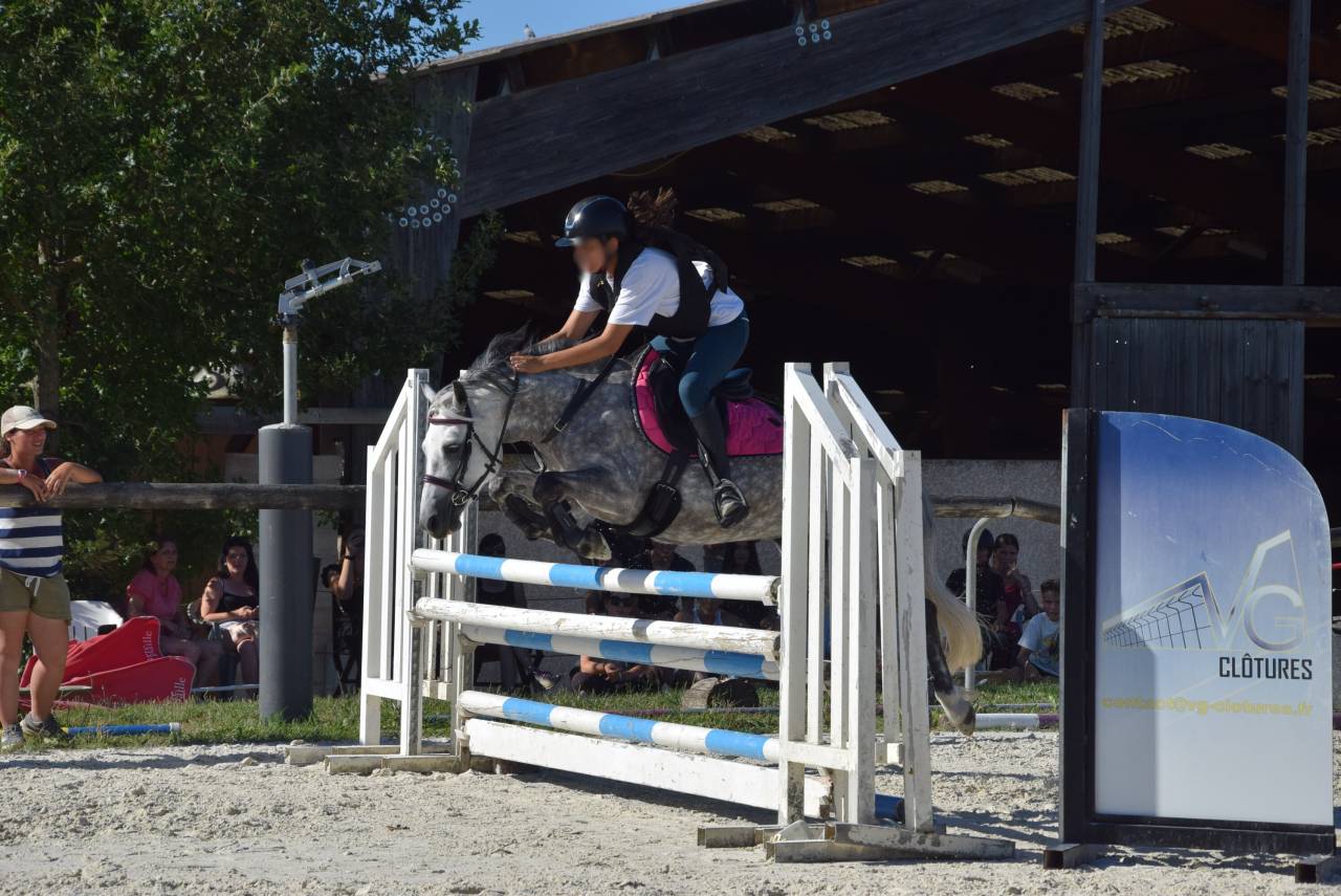 Poney &agrave; louer