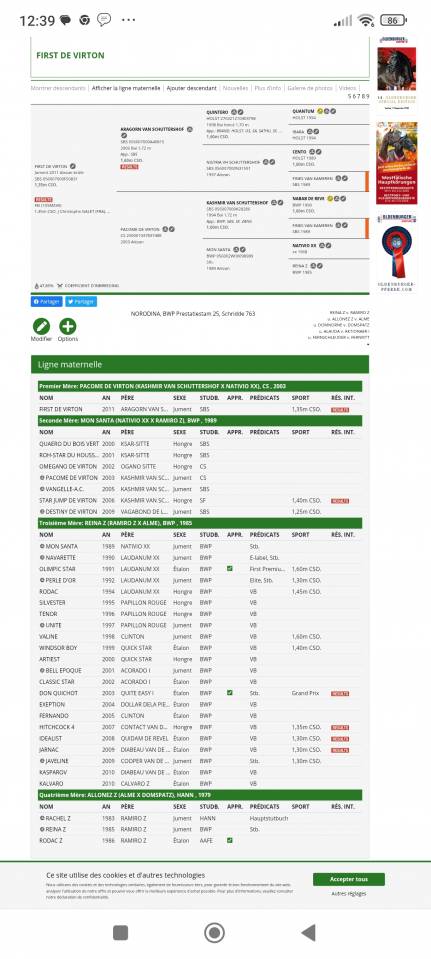 Poulini&egrave;re  SBS de 2011 Origine :Aragorn van schuttershof