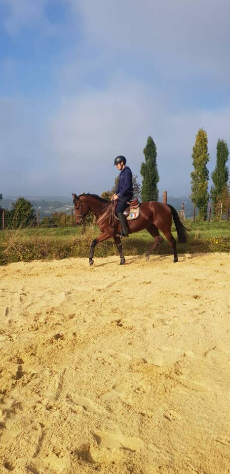 Entier 4 ans prometteur CSO/CCE