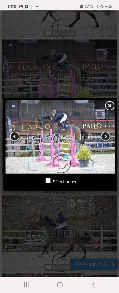 Jument 6 ans par dexter de kerglenn 