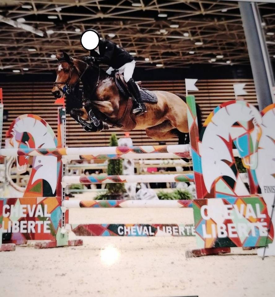 A vendre poney de sport pour As Elite et International