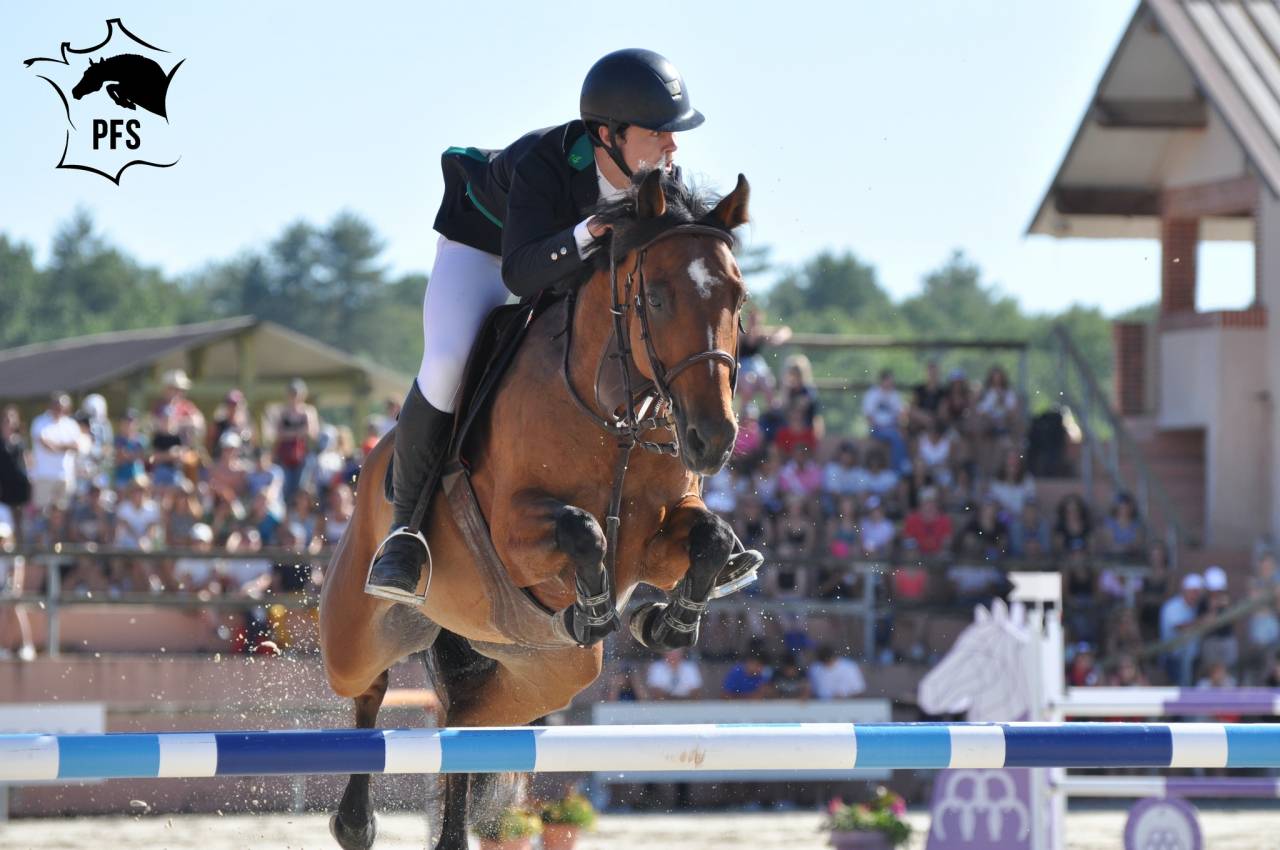 A vendre poney de sport pour As Elite et International