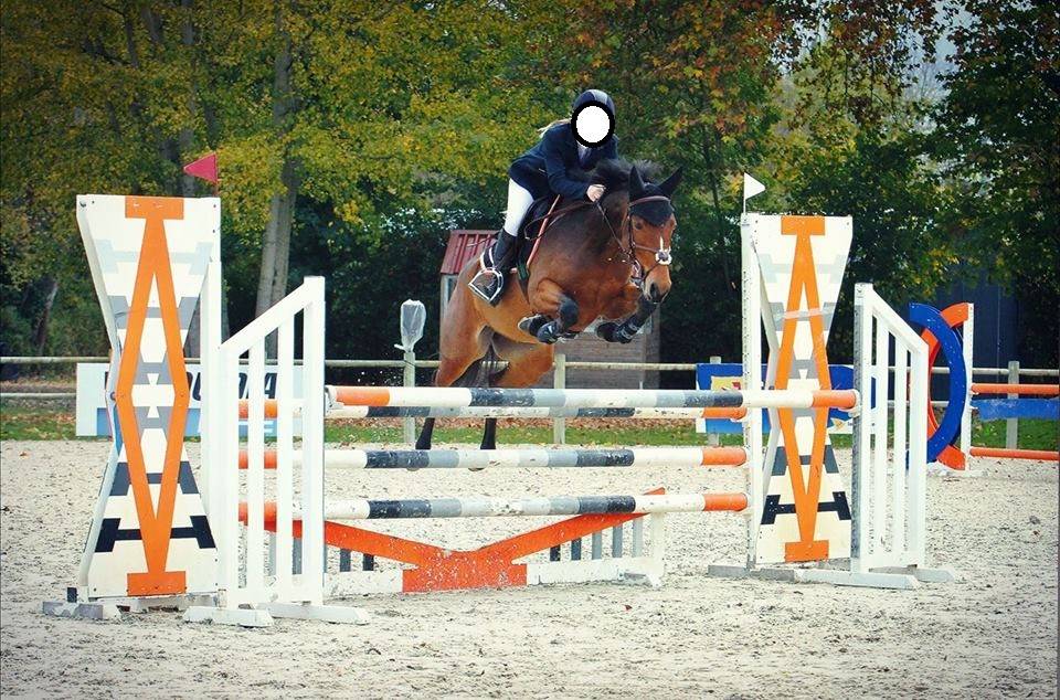A vendre poney de sport pour As Elite et International