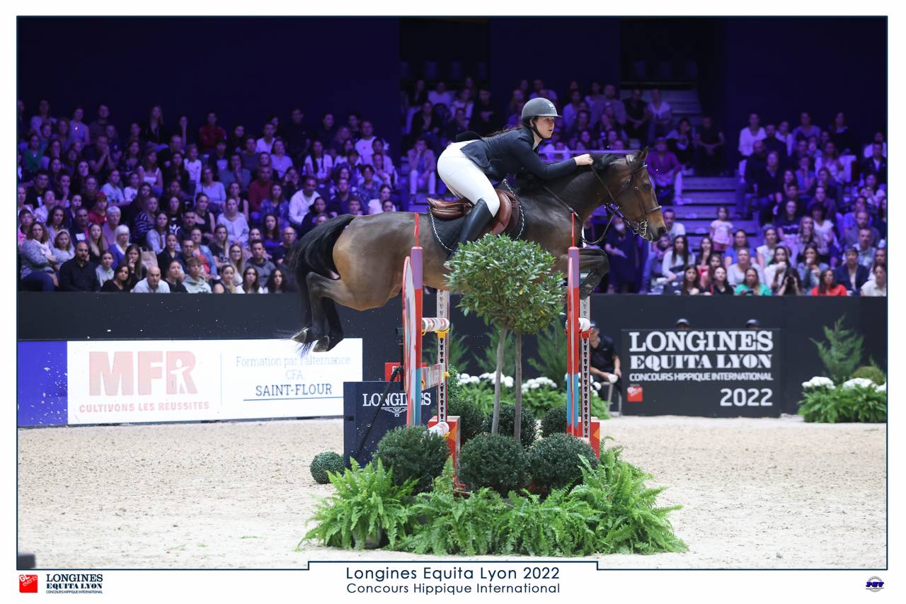 A vendre poney de sport pour As Elite et International