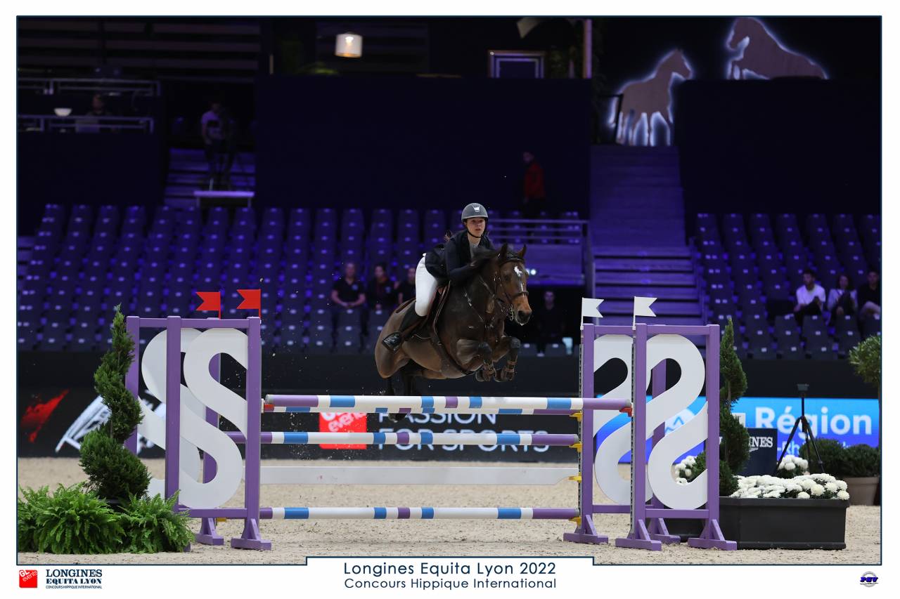 A vendre poney de sport pour As Elite et International