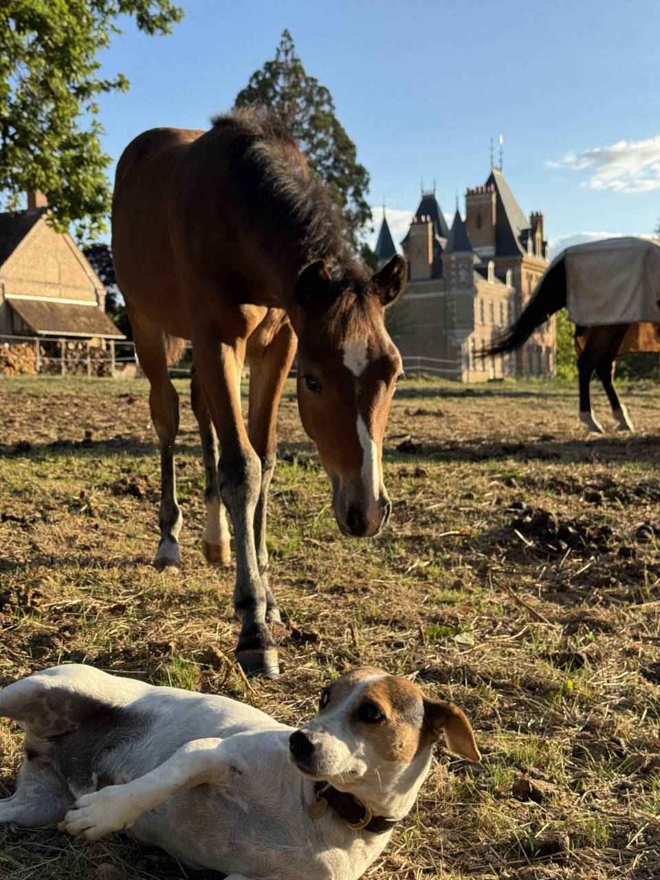 POULICHE PAR QUABAR DES MONCEAUX