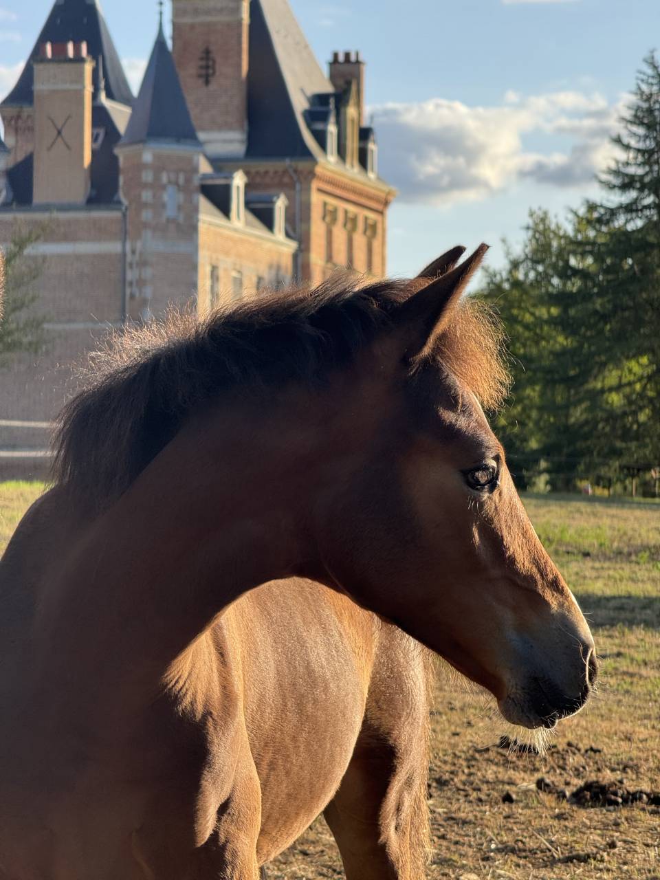 POULICHE PAR QUABAR DES MONCEAUX