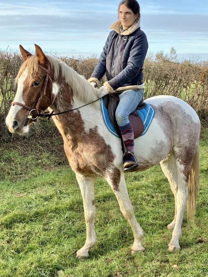 Super jument polyvalente 