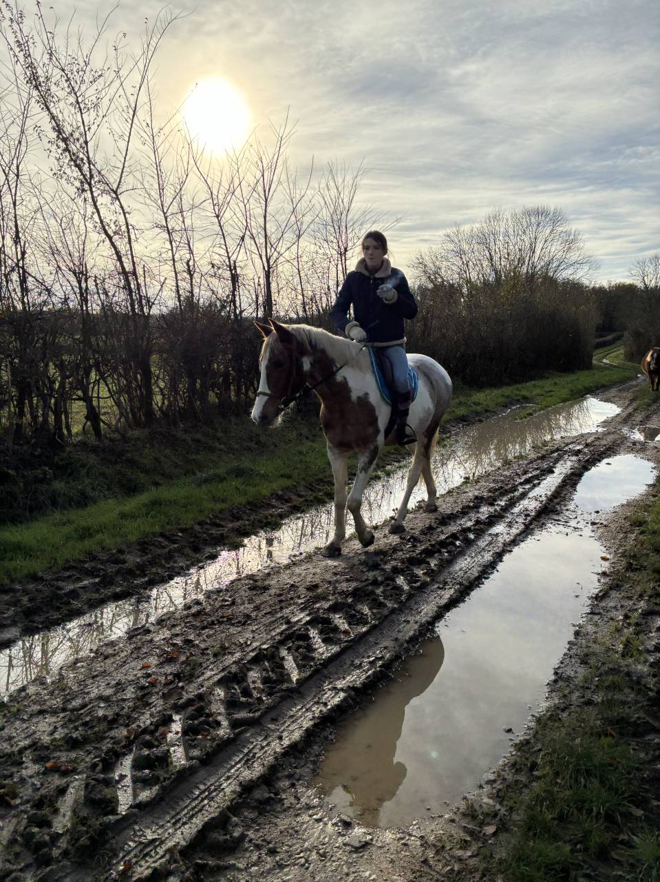 Super jument polyvalente 