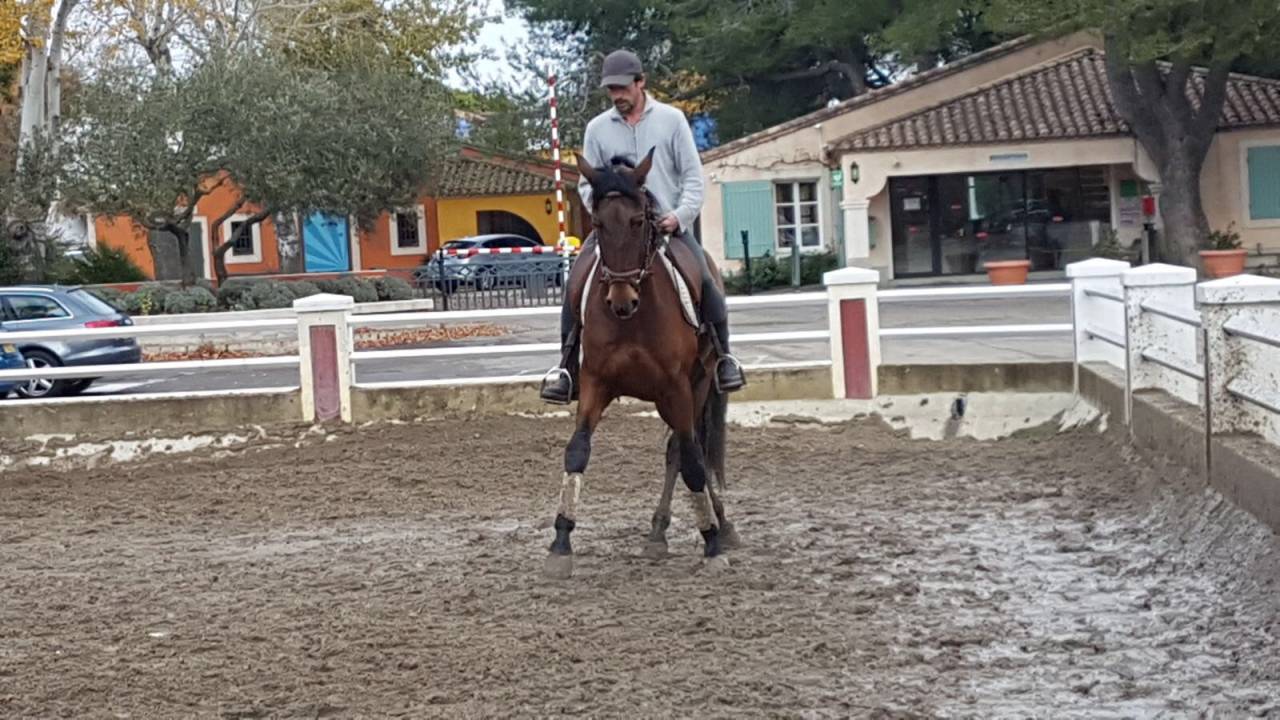 BOHEMIO - PRE 14 ans - Tous niveaux