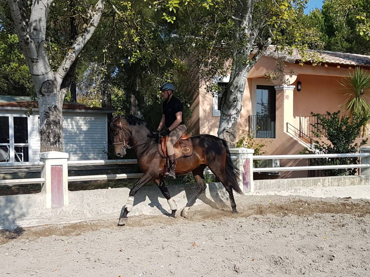 BOHEMIO - PRE 14 ans - Tous niveaux