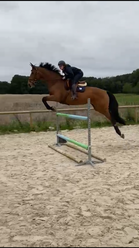 poulini&egrave;re selle fran&ccedil;ais originel