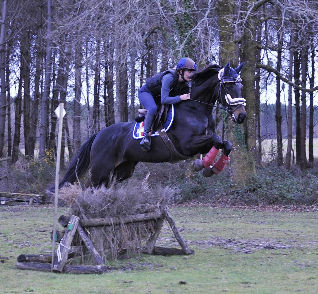 Propose DP sur Jument 5 ans