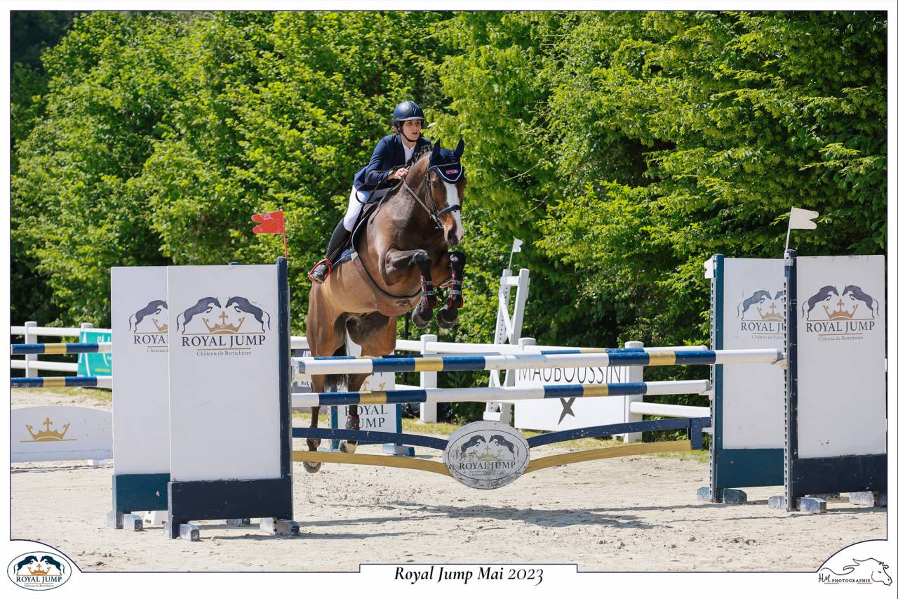 Magnifique hongre SF 9 ans