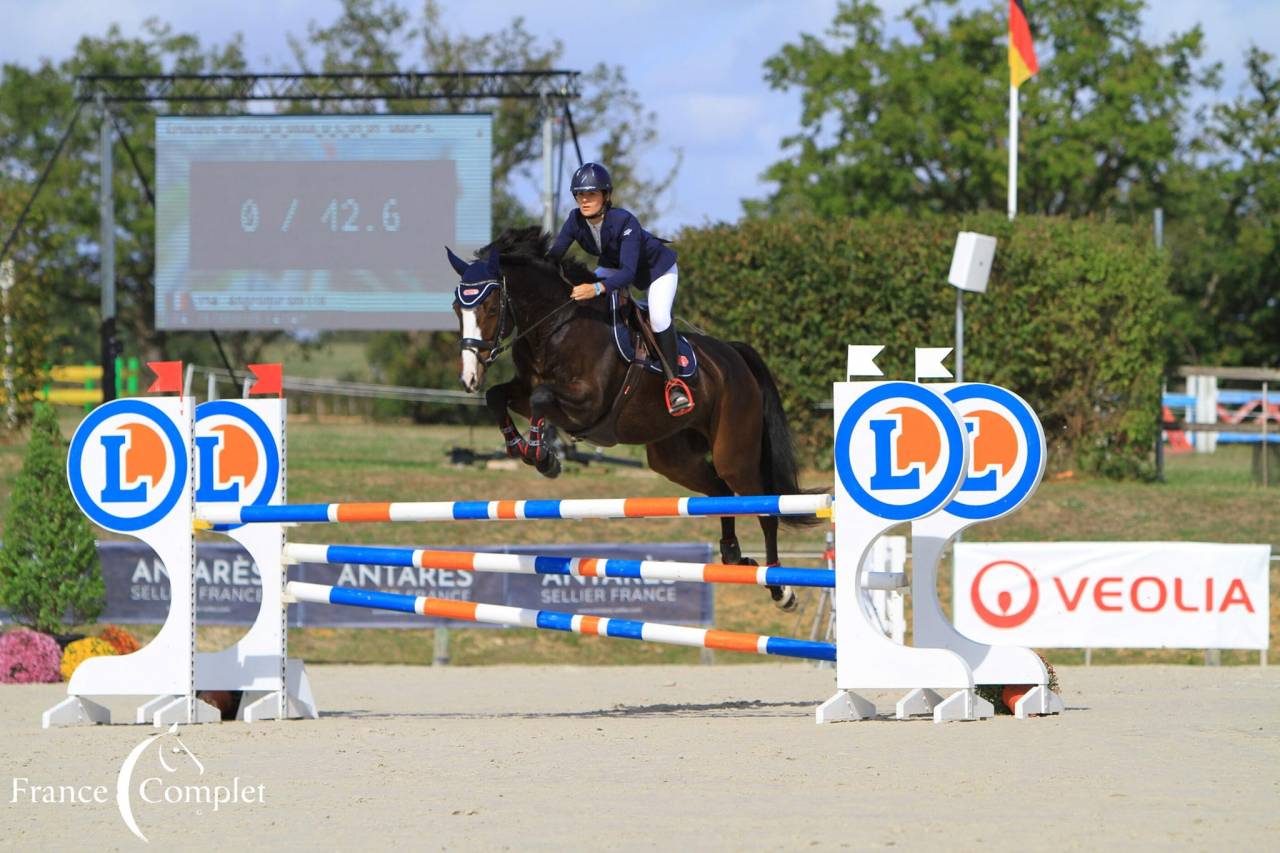 Magnifique hongre SF 9 ans