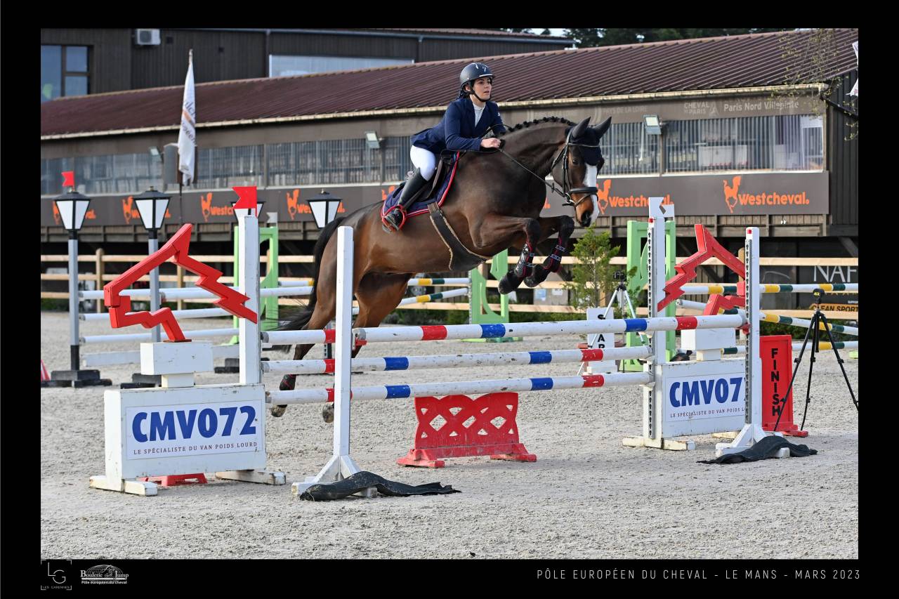 Magnifique hongre SF 9 ans