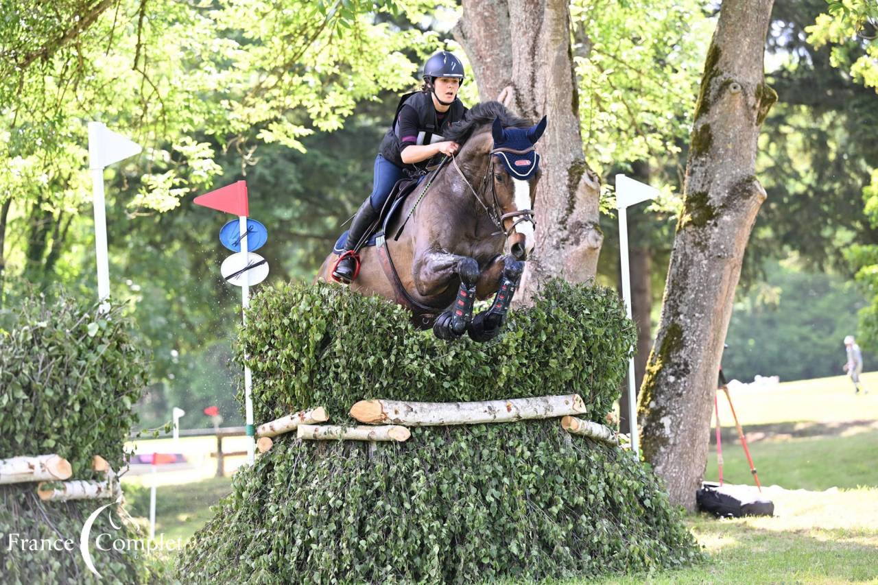 Magnifique hongre SF 9 ans