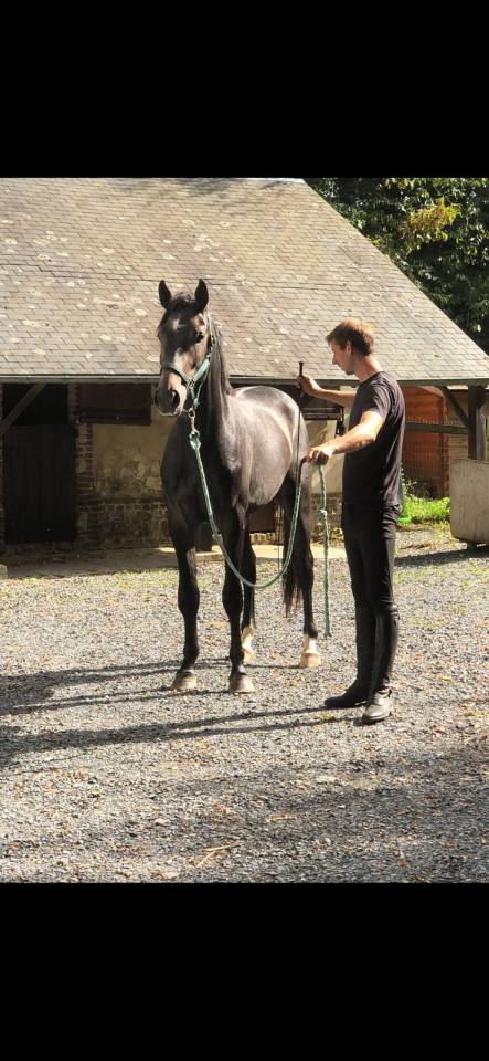 Place disponible pension d&eacute;bourrage 