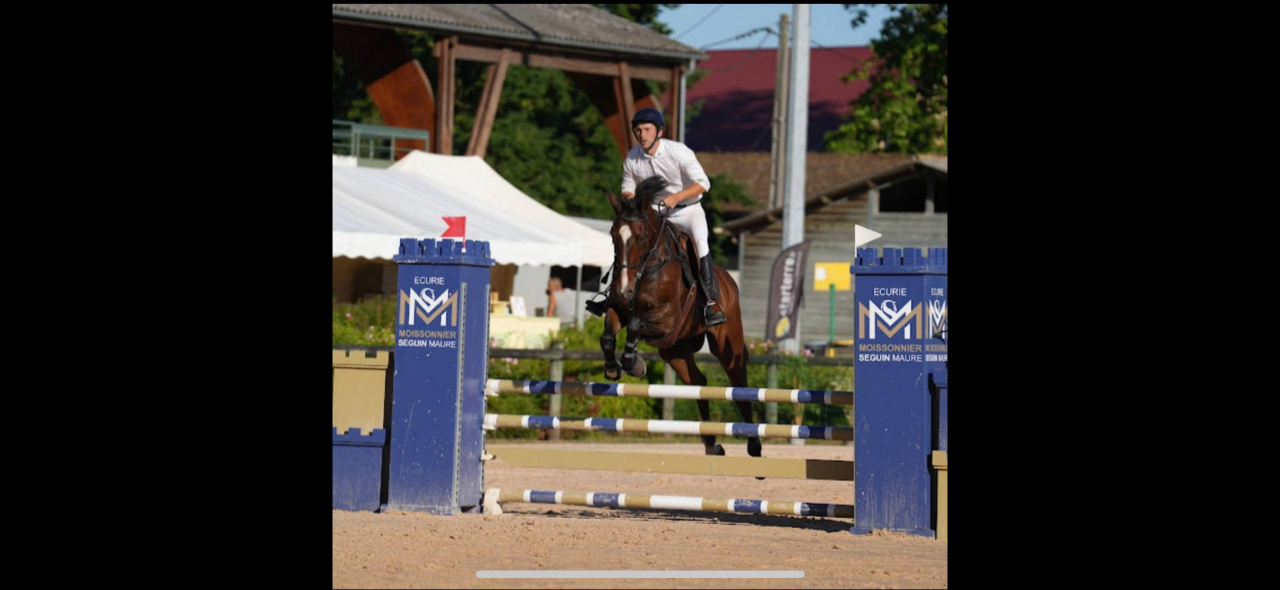 Place disponible pension d&eacute;bourrage 