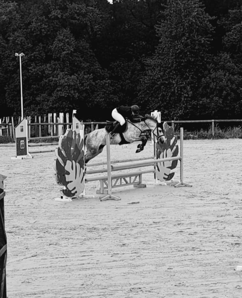 PFS hongre 6 ans clefs en mains 