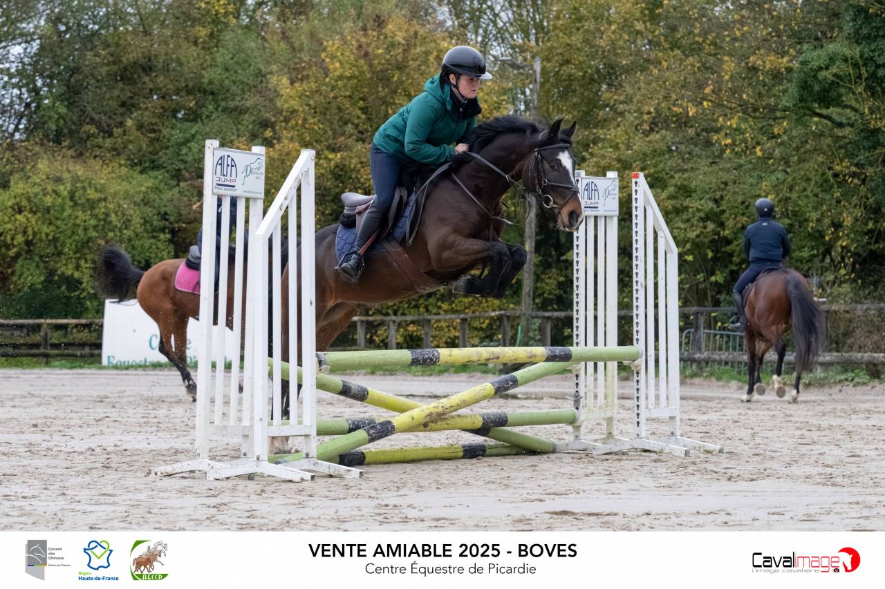 Poney PFS par moovie star