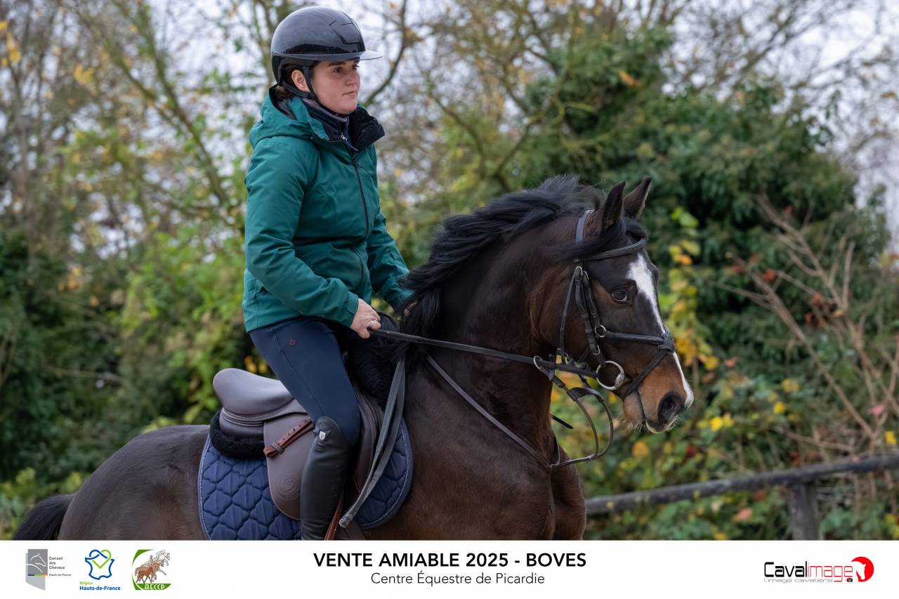 Poney PFS par moovie star