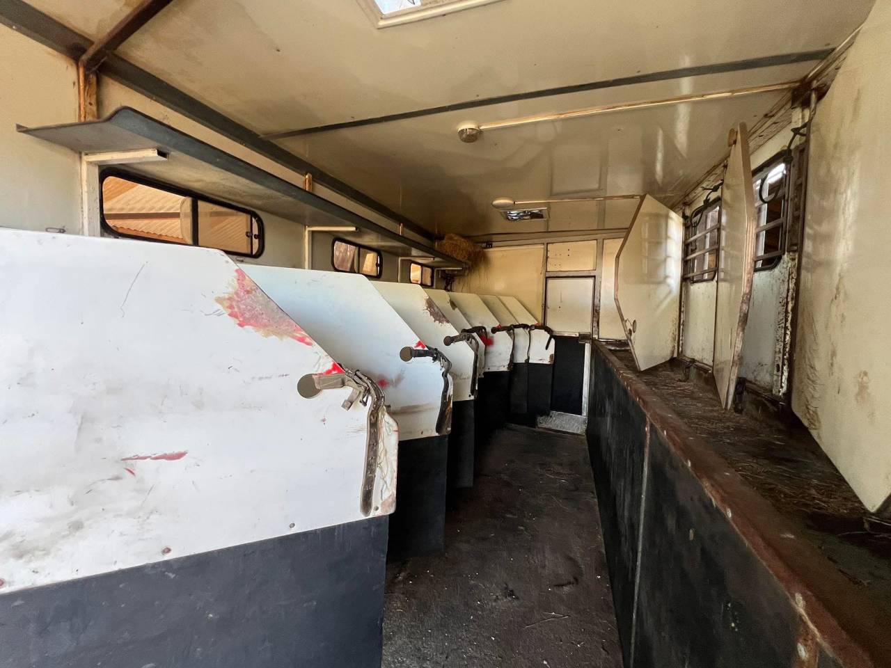 Camion PL chevaux 8 places + appartement 4 couchages 