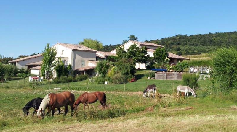 EN Ard&egrave;che , 13 hectares propri&eacute;t&eacute; ,avec location g&icirc;te