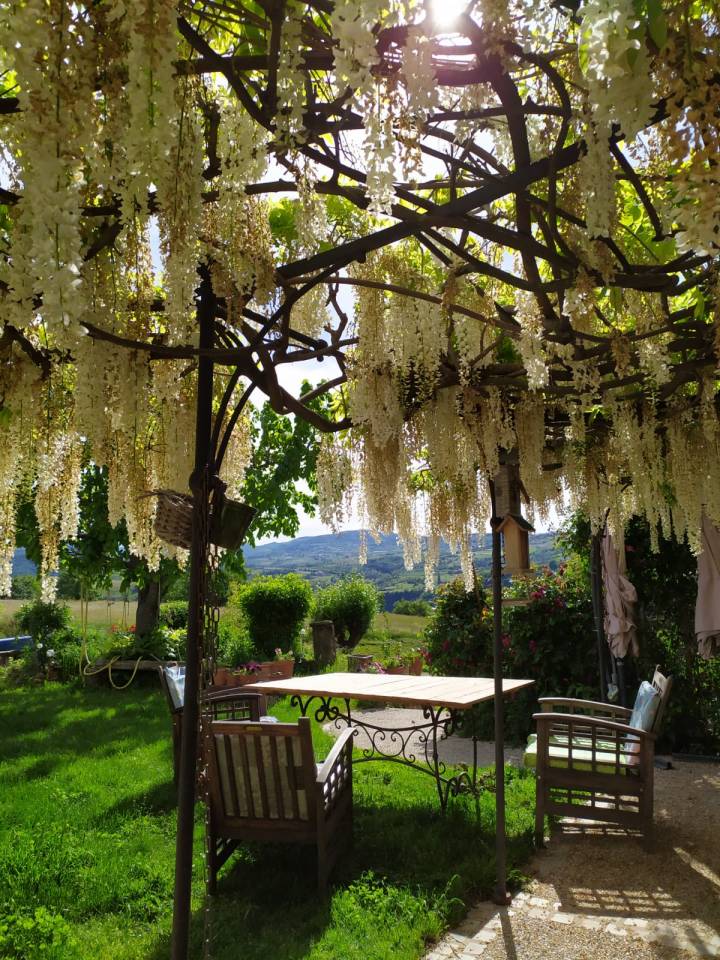 EN Ard&egrave;che , 13 hectares propri&eacute;t&eacute; ,avec location g&icirc;te